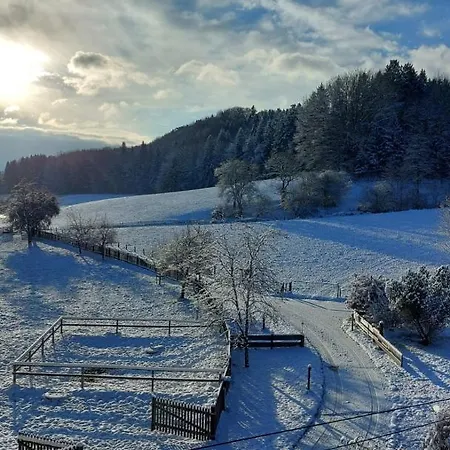 Auf Dem Werteshof Peißenberg
